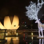 Christmas 1 : Credit to Chic Voyage Travel